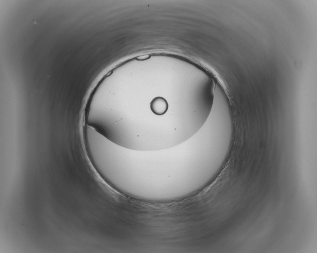 X0000111611516200908071320