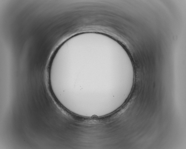 X0000111611517200908071320