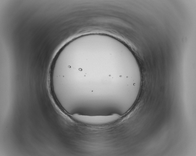 X0000111611518200908071320