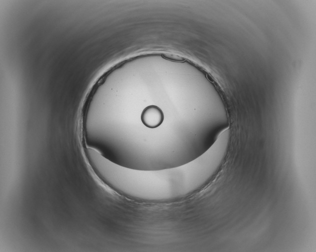 X0000111611519200908071320