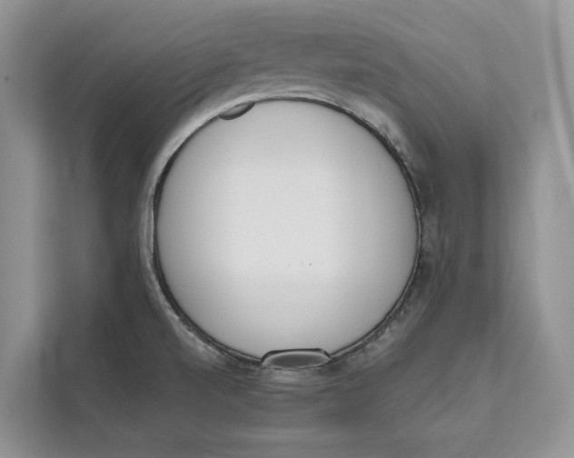 X0000111611520200908071320