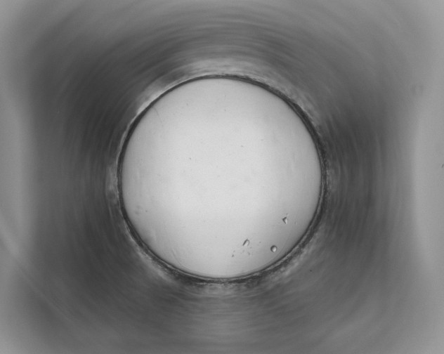 X0000111611521200908071320