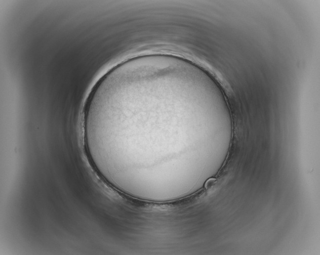 X0000111611522200908071320