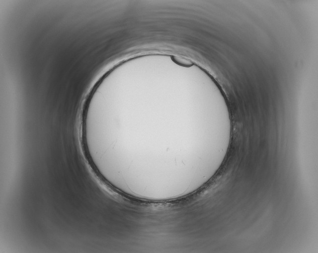 X0000111611523200908071320