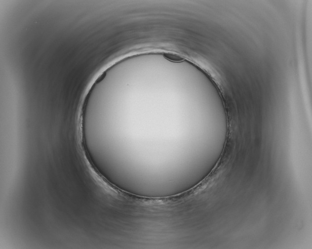 X0000111611524200908071320