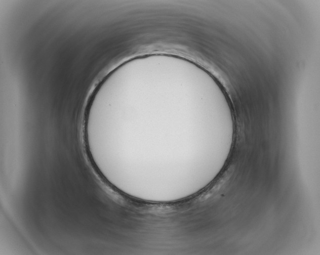 X0000111611525200908071320