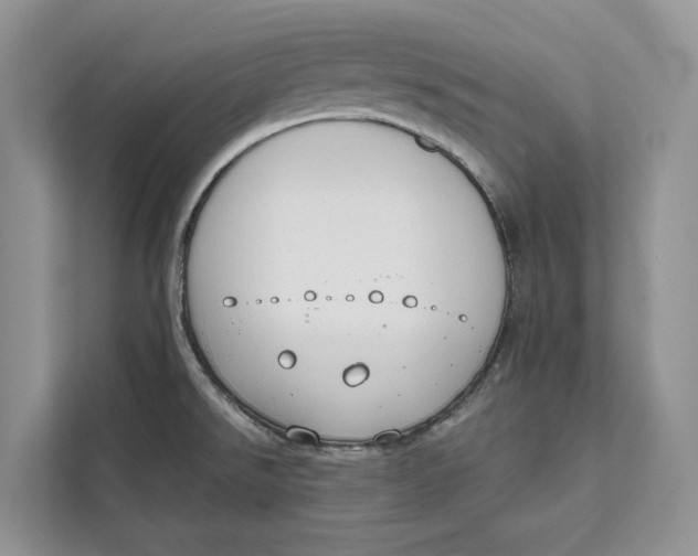 X0000111611526200908071320