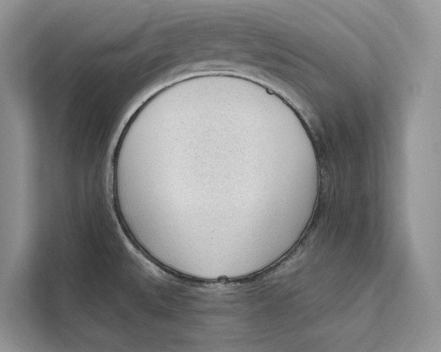 X0000111611527200908071320