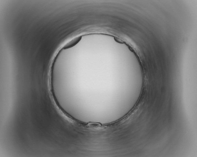 X0000111611528200908071320