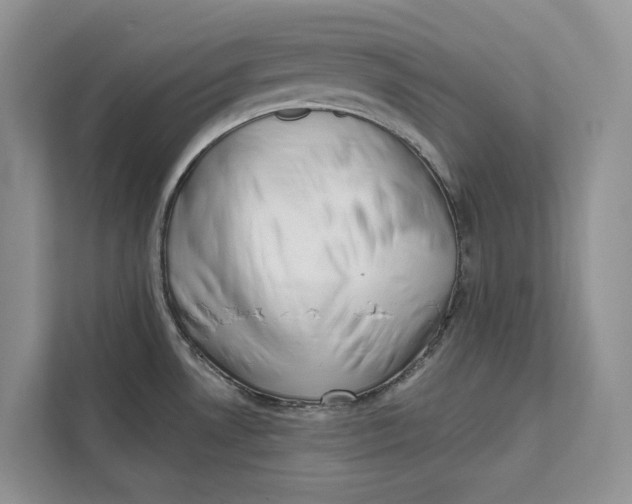 X0000111611530200908071320