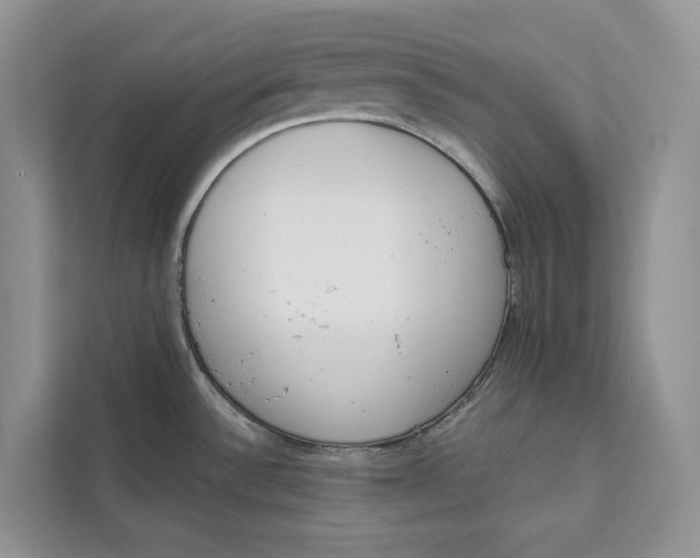 X0000111611532200908071321