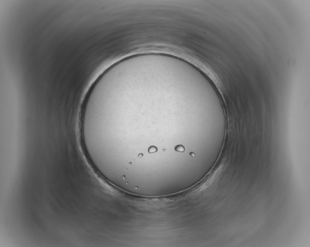 X0000111611533200908071321