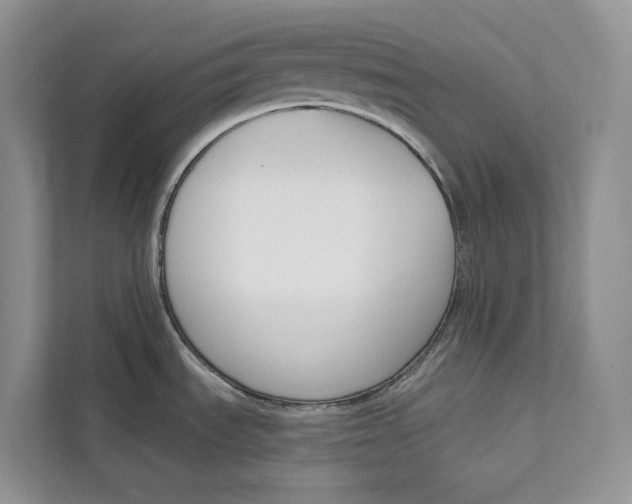 X0000111611535200908071321