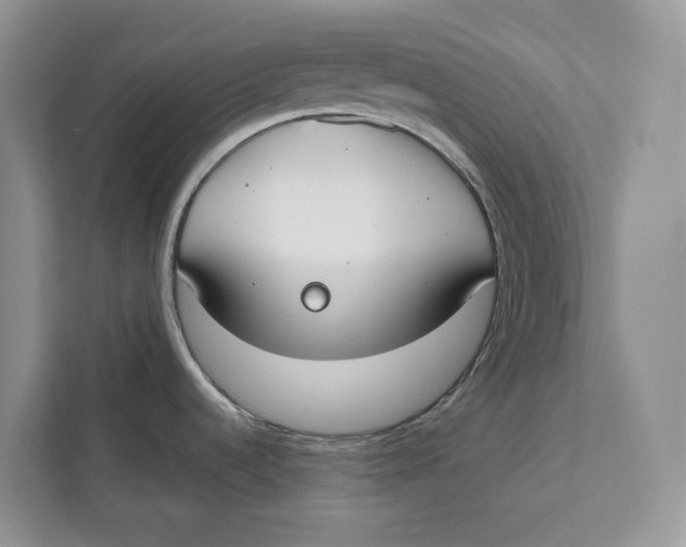 X0000111611536200908071321