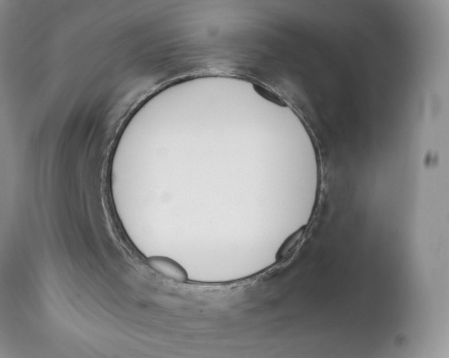 X0000111610001200908141305
