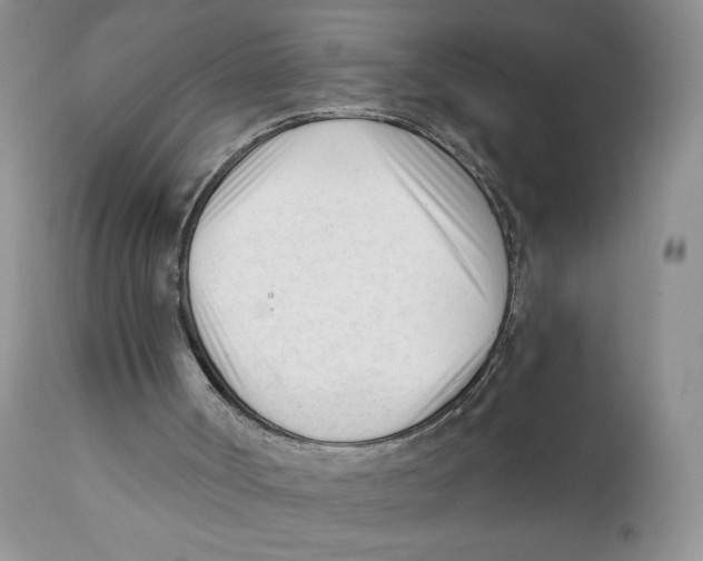 X0000111610002200908141305