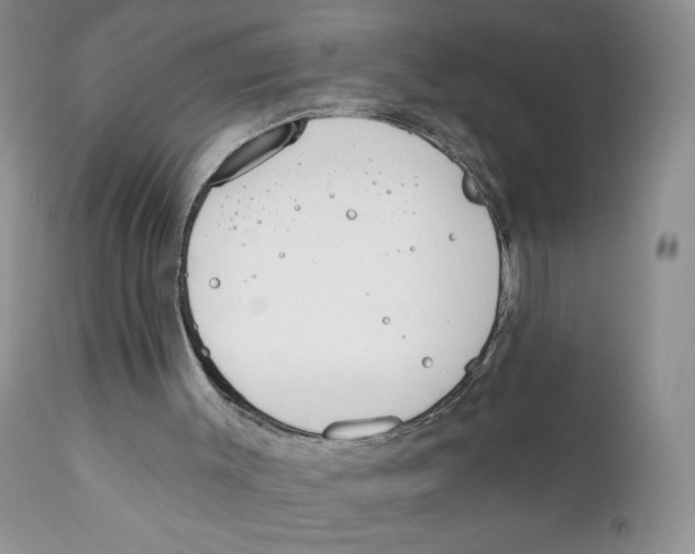X0000111610003200908141305