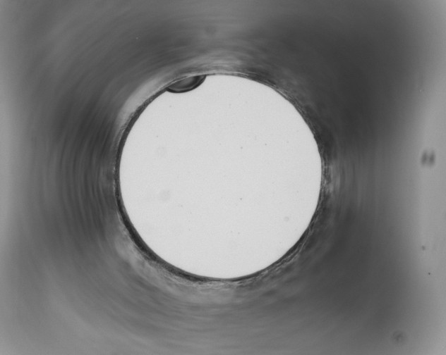 X0000111610004200908141305