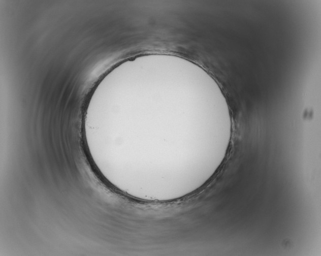 X0000111610005200908141305