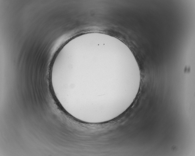 X0000111610006200908141305