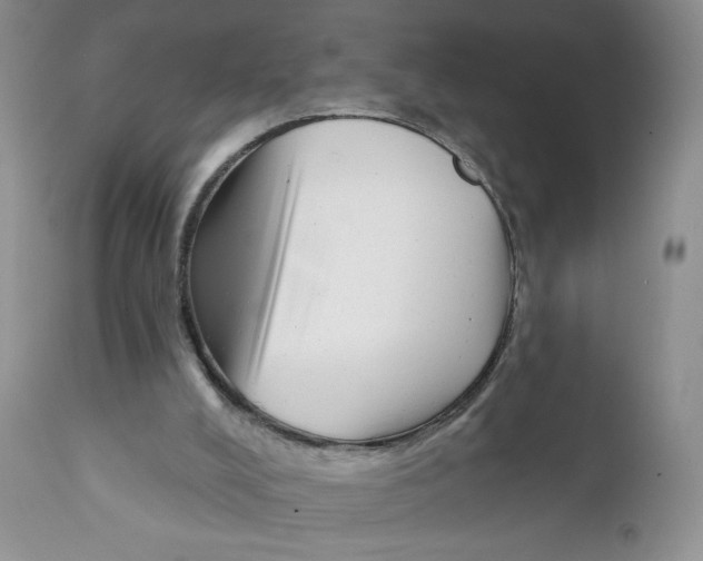 X0000111610008200908141305