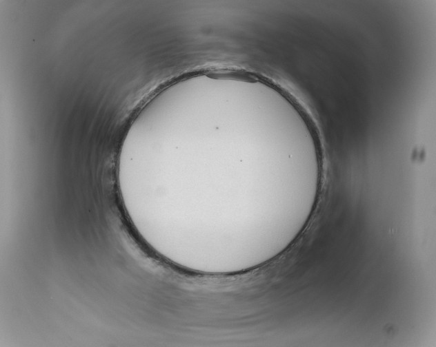 X0000111610009200908141305