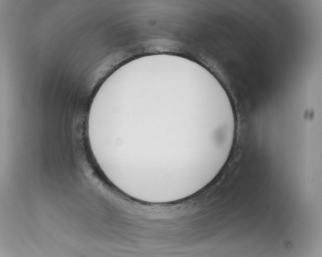 X0000111610010200908141305