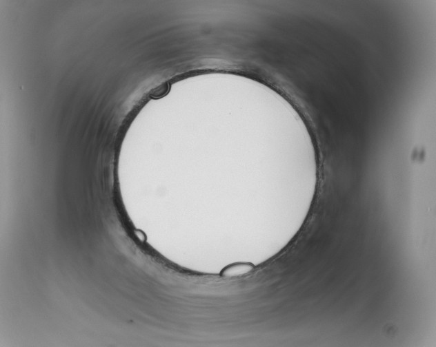 X0000111610011200908141305