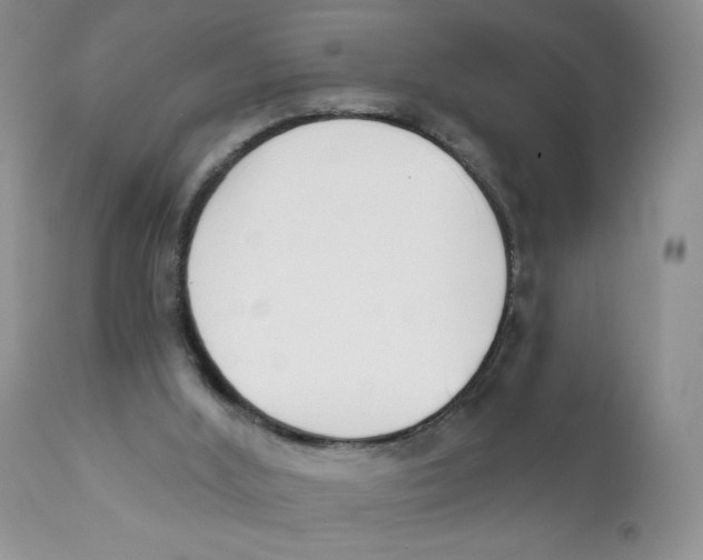 X0000111610012200908141305