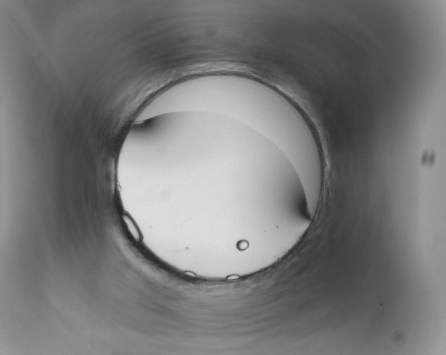 X0000111610013200908141305