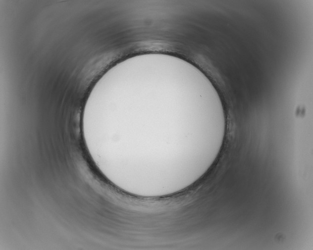 X0000111610014200908141305