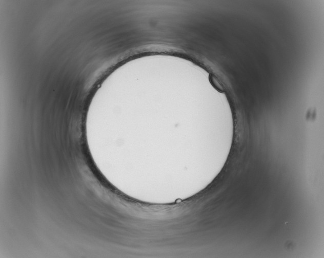 X0000111610015200908141305