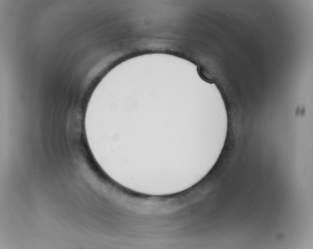 X0000111610016200908141305