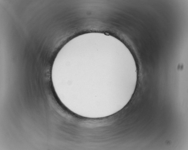 X0000111610017200908141305