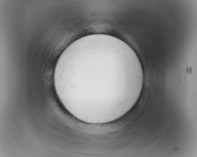 X0000111610018200908141305