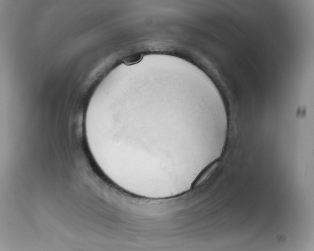 X0000111610019200908141305