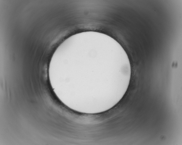 X0000111610020200908141305