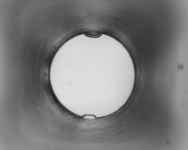 X0000111610021200908141305