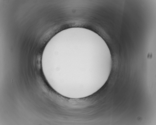 X0000111610022200908141305