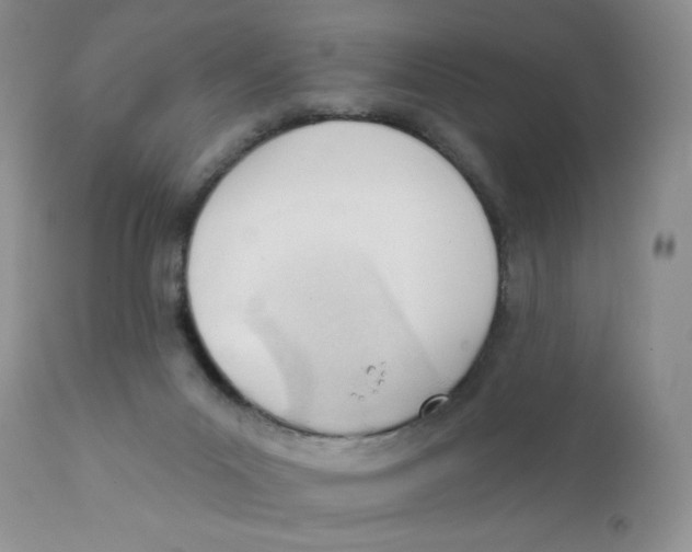 X0000111610023200908141305