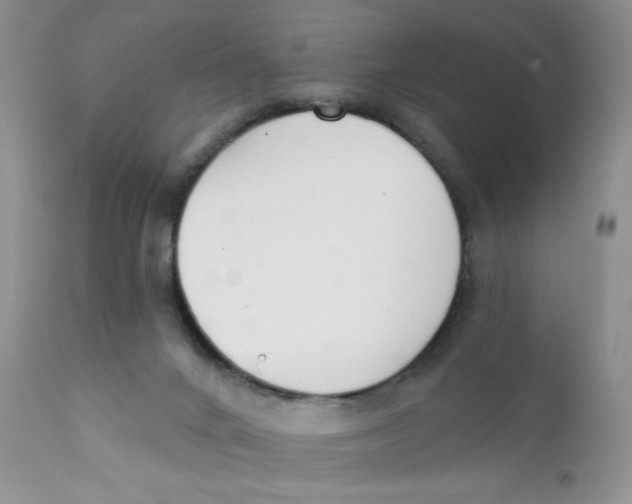 X0000111610024200908141305