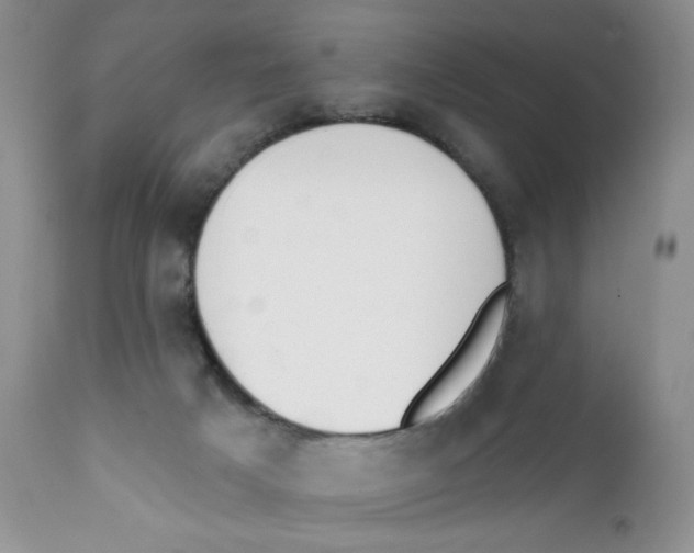 X0000111610025200908141305