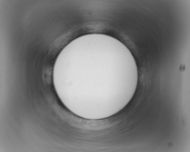 X0000111610026200908141305