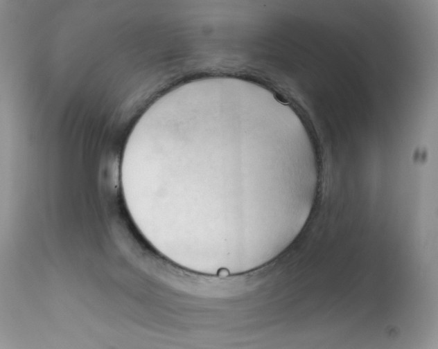 X0000111610027200908141304