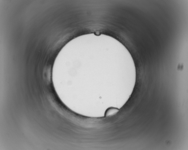 X0000111610028200908141304