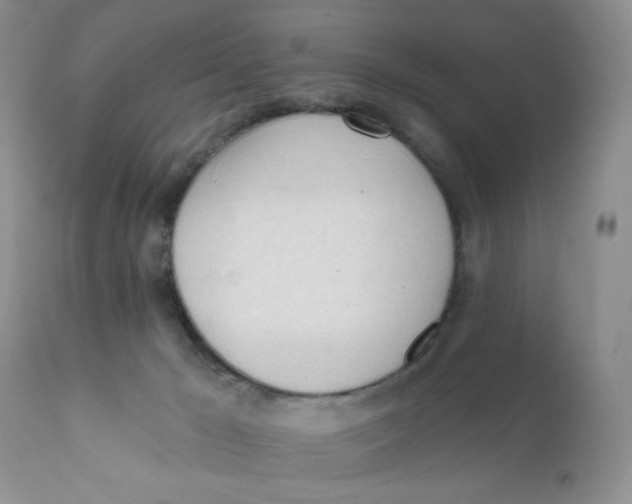 X0000111610029200908141304