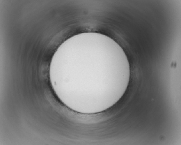 X0000111610030200908141304