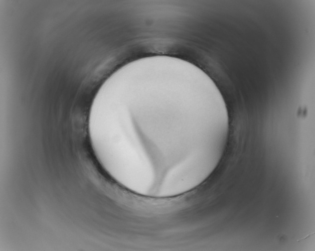 X0000111610031200908141304
