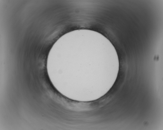 X0000111610032200908141304
