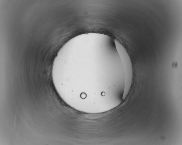 X0000111610033200908141304